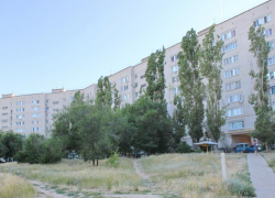 Административный ресурс двинулся по дворам Камышина, где в городскую думу баллотируются "высокопоставленные" кандидаты