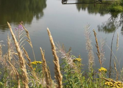 В Камышинском районе 22-летний парень утонул в пруду