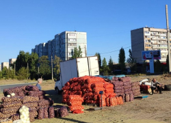"Стартовая цена" воронежской картошки в Камышине на зиму - 35 рублей за килограмм