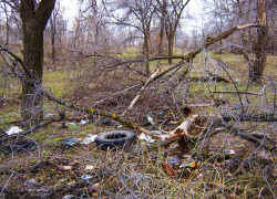 Администрация, примите меры против гадючника в парке Текстильщиков! - камышанин