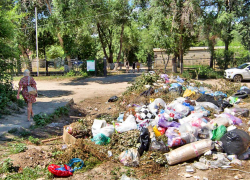 Как будет заполняться 4-месячная пауза с вывозом мусора в Волгоградской области? Без паники, товарищи!