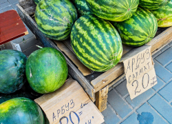 "Прилавки Камышина завалили дешевыми арбузами, а откуда плоды - не говорят", - камышанка