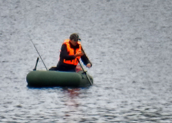 Туманно и тепло: погодная повестка для Камышина на 29 октября (ВИДЕО)