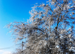 Какими задачами "нагрузил" Андрей Бочаров лично глав муниципалитетов в связи с морозами