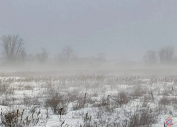 Чабан из Палласовского района Волгоградской области без вести пропал в арктический шторм, спасая овец  