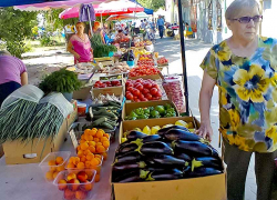 "Единая Россия" в Волгоградской области вникла, что и почем должны положить рядовые граждане в борщ