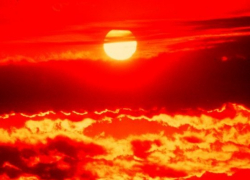 В Камышинской колонии №5 обнаружен труп осужденного