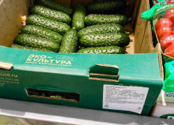 Огурцы в Камышине установили новый ценовой рекорд