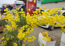 6 градусов тепла и яркое солнце: погодная повестка для камышан 8 Марта - как по заказу!