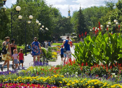 В городском парке Камышина загорелась лестница на детской горке