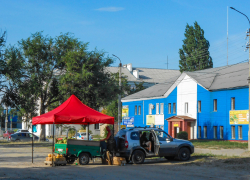 В Камышине растет число стихийных "арбузных" палаток