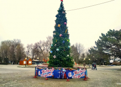 В Камышине в городском парке у фонтана нарядили новогоднюю елку с красной звездой 