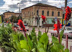 В Камышине при голосовании жителей предварительно победителем среди территорий благоустройства стала зона улицы Советской