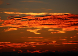 В Камышине на улице Чернышевского обнаружено бездыханное тело мужчины