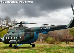 В Камышине +5 градусов сегодня,  24 ноября,- перед похолоданием (ВИДЕО)