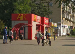 С предприятия благоустройства и администрации города суд взыскал 50 тысяч за раны подростка, искусанного собакой