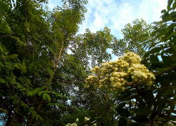 В Камышине на улице Юбилейной обнаружен труп покончившего с собой мужчины