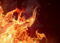 В Камышине в пятом микрорайоне сгорели сразу четыре автобуса