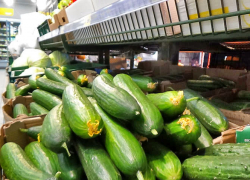 Цены на овощи и фрукты "взбесились" в Волгоградской области  