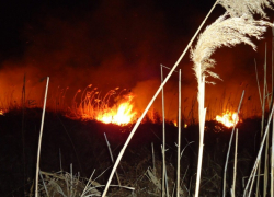 В Камышине в  нескольких метрах от метановской заправки вспыхнул огонь