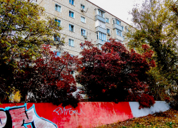 А вот тут некому убрать "какули"-каракули? - камышанка