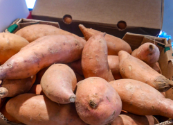 Камышанам привезли батат - мексиканскую картошку по сумасшедшей цене