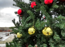 В Камышине потеплеет до нуля 20 декабря и пройдет слабый снег