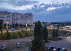 Тепло и небольшой дождь: погода в Камышине 8 мая