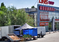 В Камышине растет число импровизированных торговых точек бахчевыми