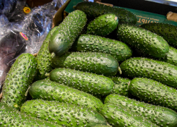 Прогноз Госдумы по ценам сбылся в магазинах Волгоградской области