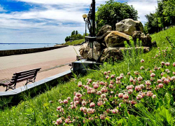 В Камышине с памятника морякам и речникам на набережной куда-то исчезли цветы, принесенные горожанами в день ВМФ