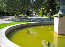 В Камышине зазеленела немытая чаша бездействующего  фонтана в парке Комсомольцев-добровольцев