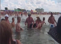 Акула в Черном море в Анапе плавала среди купающихся (ВИДЕО), - "Блокнот Краснодара"