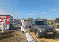 В соседнем с Камышинским районе "вдруг" провели учения "по сибирской язве"