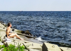 Волгоградскую область накрыла волна фейков о холере в воде  