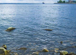 Спасателям пришлось "вылавливать" в Камышинке путешественницу, которую ветром несло на плавсредстве в Волгу