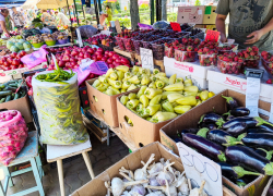 Подорожал главный продукт в "съедобной заначке" жителей Волгоградской области, а что подешевело?