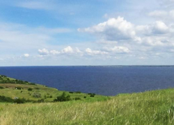 В Камышинском районе очистили берег у "Козьей балки", где может открыться лучший местный пляж для камышан
