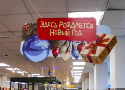 В Камышине в самый короткий день в году коммунальщики обойдутся отключением света только в одном доме - это предпраздничный тренд?