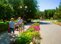 В читательском опросе о рейтинге камышинских клумб побеждают цветники парка Комсомольцев-добровольцев