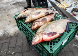 Центральный Банк прокомментировал тенденции в динамике цен на продукты, товары и услуги