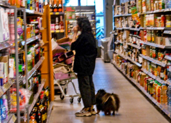 Почему в Камышине в магазинах собаки трутся около продуктов? - камышанин