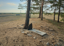 Камышане видят памятники умершим собакам в городском лесопитомнике и интересуются, как утилизировать останки домашних животных