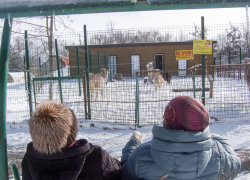 В городском парке Камышина даже зимой не заканчивается очередь на лавочку у мини-зоосада