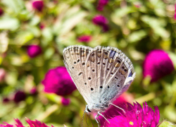 Сентябрьская жара в Камышине: солнце разогреет воздух в наступившие выходные так, что можно идти загорать на пляж
