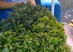 Клубника в Камышине вдвое дешевле, чем черешня