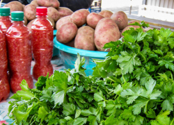 Роспотребнадзор "приказал" камышанам есть "траву"