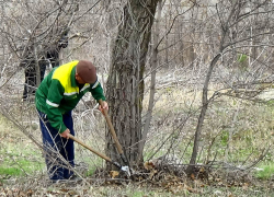 В Камышине "оранжевые жилеты" из "Благоустройства" и студенты вышли на субботник  на "задворках" улицы Текстильной (ВИДЕО)