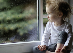 Четырехлетний мальчик выпал из окна 2-го этажа, опершись на москитную сетку, - "Блокнот Волжского"