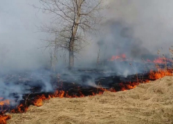 В Камышинском районе сгорело более тысячи квадратных километров  сухой травы